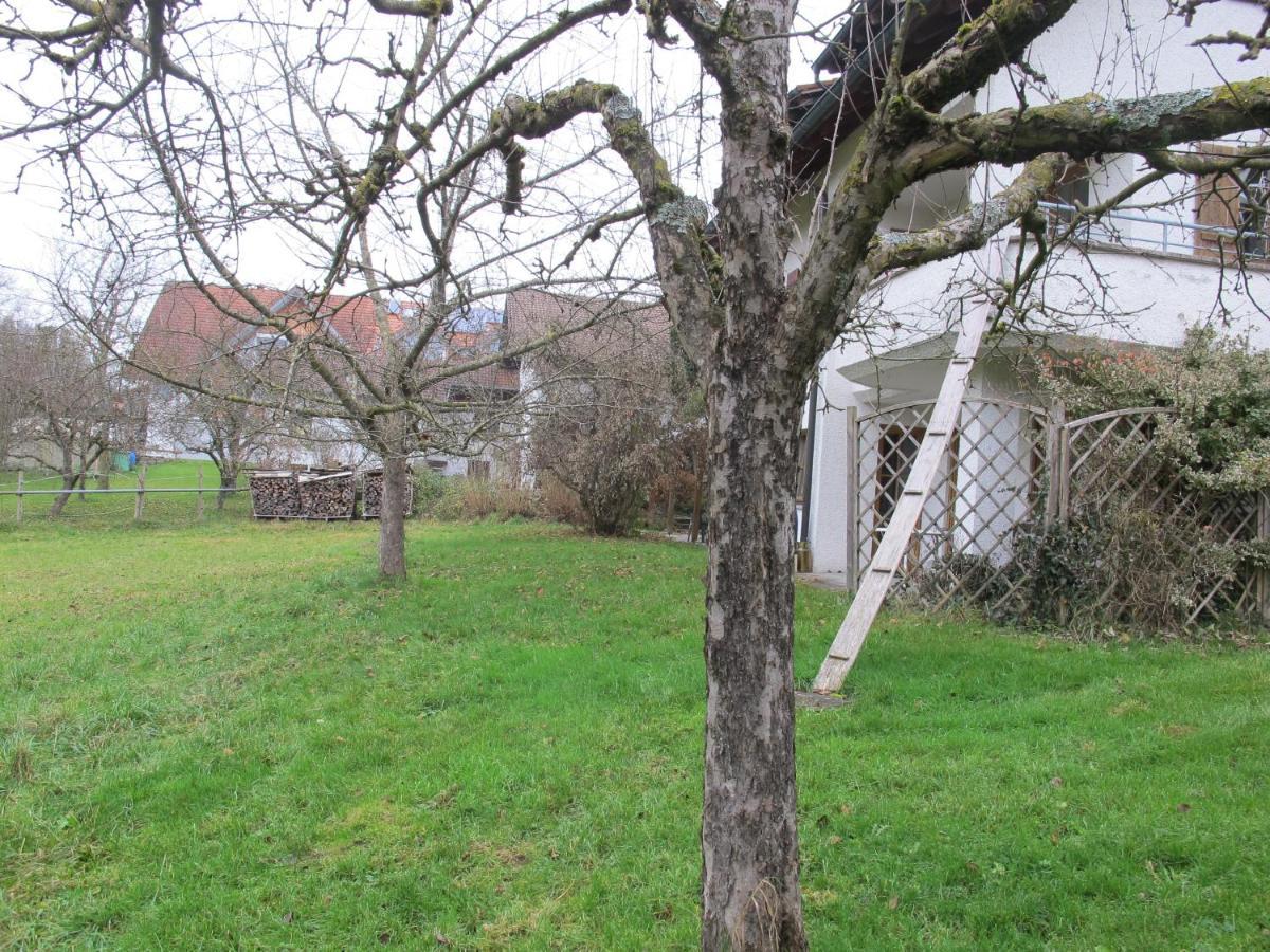 Gasthaus Adler Wangen im Allgäu Exterior foto